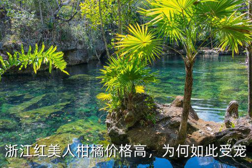 麗水紅美人柑橘多少錢一斤,象山紅美人柑橘為什么很貴
