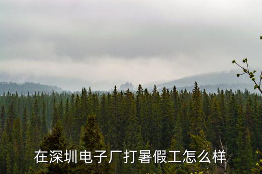 深圳泰嘉電子廠怎么樣,在深圳電子廠打暑假工怎么樣