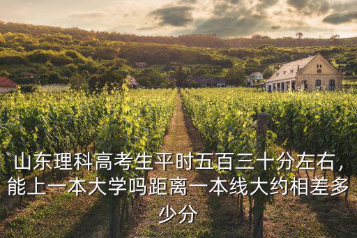山東理科高考生平時五百三十分左右，能上一本大學嗎距離一本線大約相差多少分