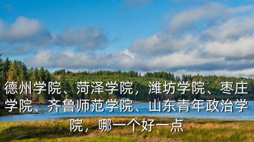 德州學(xué)院、菏澤學(xué)院，濰坊學(xué)院、棗莊學(xué)院、齊魯師范學(xué)院、山東青年政治學(xué)院，哪一個(gè)好一點(diǎn)