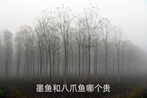 墨魚和八爪魚哪個(gè)貴