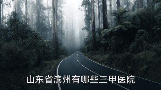 山東省濱州有哪些三甲醫院
