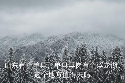 山東省單縣有多少個鎮,單縣浮崗有個浮龍湖