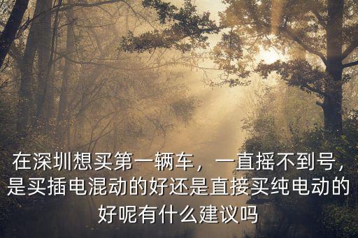 在深圳想買第一輛車，一直搖不到號(hào)，是買插電混動(dòng)的好還是直接買純電動(dòng)的好呢有什么建議嗎