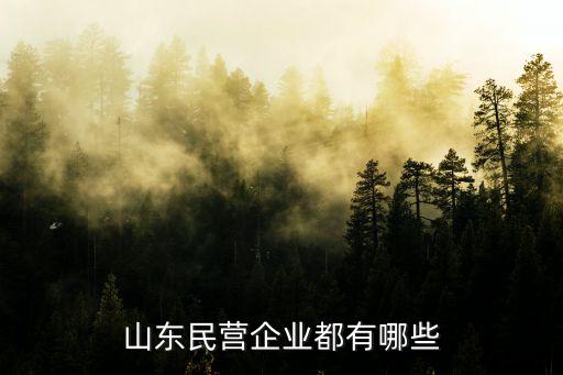 山東民營企業有多少家,濟南有哪些大型民營企業