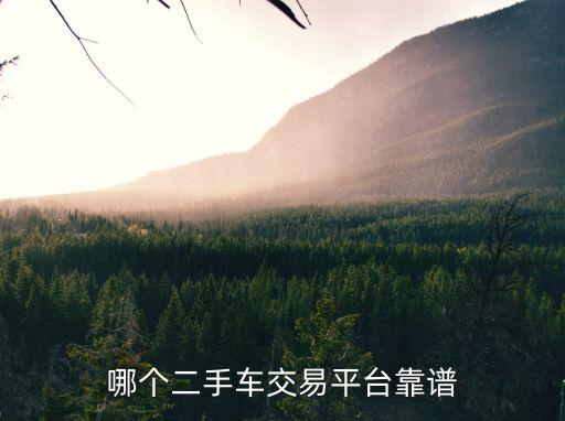 哪個二手車交易平臺靠譜