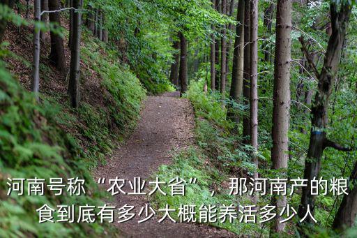 河南號稱“農業大省”，那河南產的糧食到底有多少大概能養活多少人