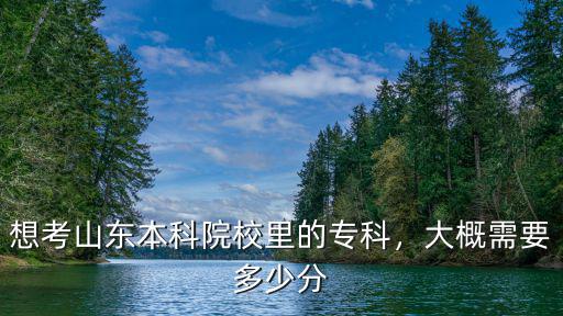 想考山東本科院校里的專科，大概需要多少分