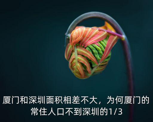 廈門和深圳面積相差不大，為何廈門的常住人口不到深圳的1/3