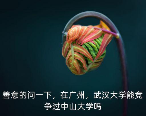 善意的問一下，在廣州，武漢大學能競爭過中山大學嗎