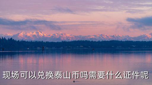 泰山幣山東現(xiàn)場兌換額度多少,現(xiàn)場可以兌換泰山幣嗎
