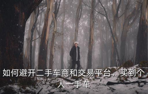 如何避開二手車商和交易平臺，買到個人一手車