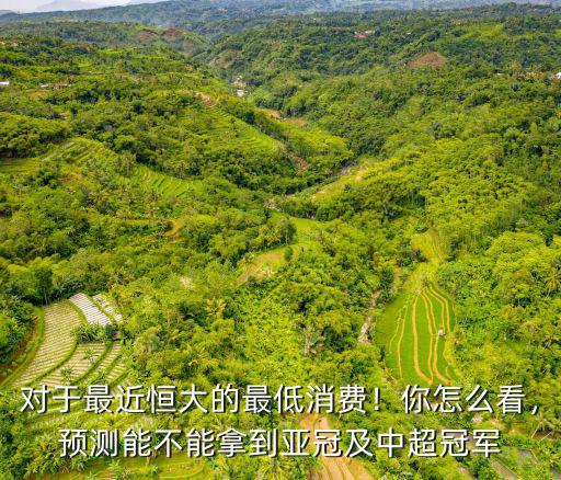 山東魯能最低消費(fèi)是多少,山東魯能為何這么財(cái)大氣粗