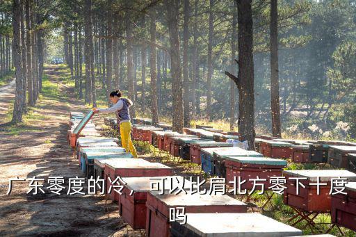 廣東的冷水多少度,為什么廣東的冬天感覺比較冷