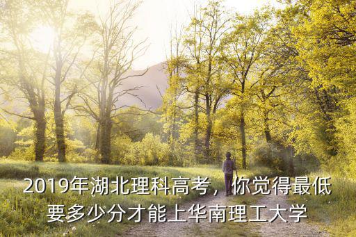 2019年湖北理科高考，你覺得最低要多少分才能上華南理工大學