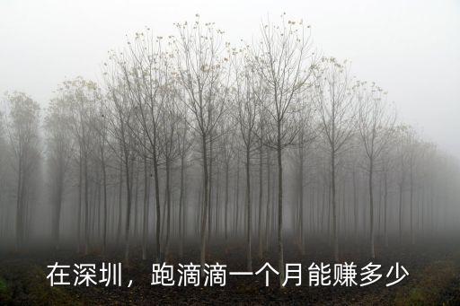 深圳滴滴月入多少錢,一個月大概能跑多少錢