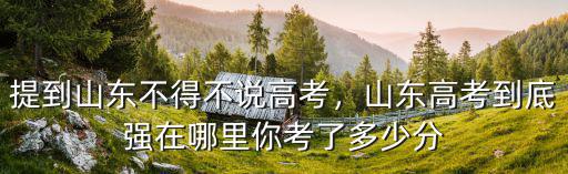 山東考生呂琛到底考了多少分,你考了多少分
