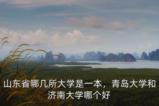 青島一共多少個一本大學,山東省哪幾所大學是一本