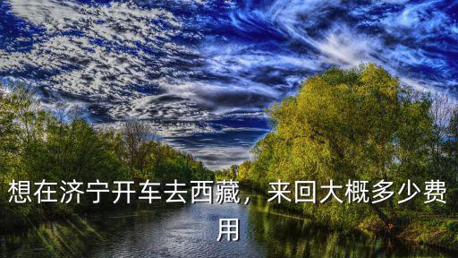 濟寧到郯城開車多少錢,想在濟寧開車去西藏