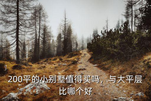 200平的小別墅值得買嗎，與大平層比哪個好