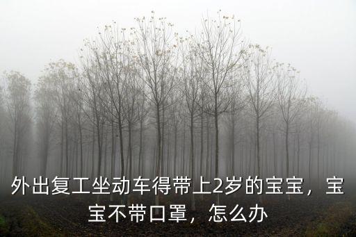 外出復工坐動車得帶上2歲的寶寶，寶寶不帶口罩，怎么辦