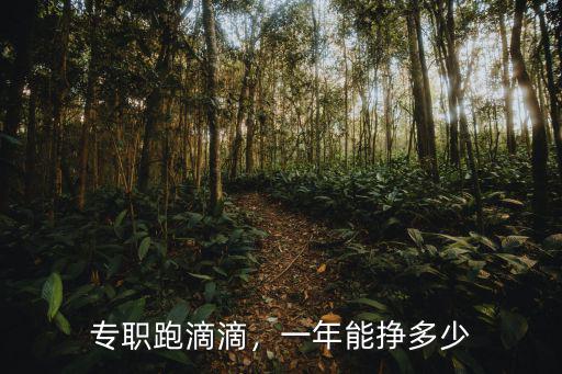 專職跑滴滴，一年能掙多少