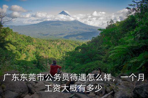 東莞市員工工資平均是多少錢一個(gè)月,廣東東莞市公務(wù)員待遇怎么樣