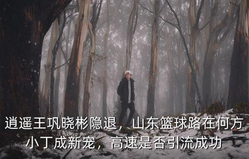 逍遙王鞏曉彬隱退，山東籃球路在何方小丁成新寵，高速是否引流成功