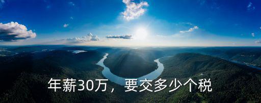 濟南年薪30萬交多少稅,濟南年收入30萬算高嗎