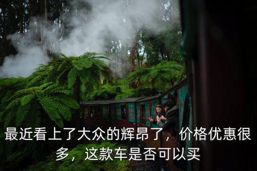 最近看上了大眾的輝昂了，價格優惠很多，這款車是否可以買
