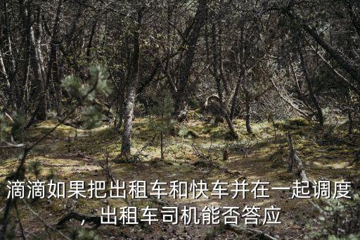 滴滴如果把出租車(chē)和快車(chē)并在一起調(diào)度，出租車(chē)司機(jī)能否答應(yīng)
