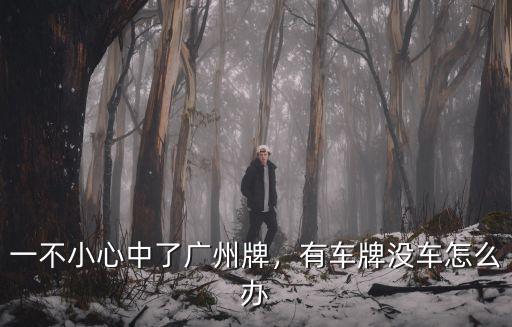 廣州新車買了沒號怎么辦,一不小心中了廣州牌