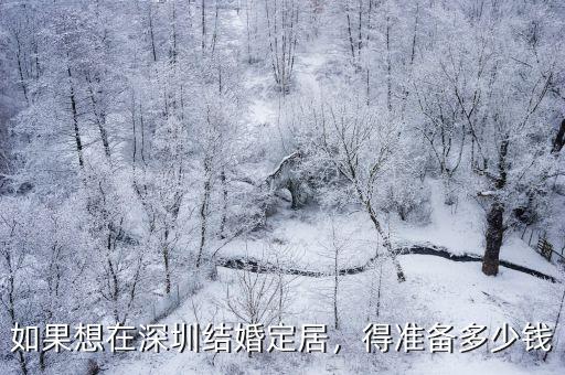 深圳低收入一般多少錢,一線城市深圳