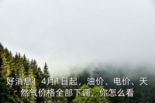 好消息！4月1日起，油價(jià)、電價(jià)、天然氣價(jià)格全部下調(diào)，你怎么看