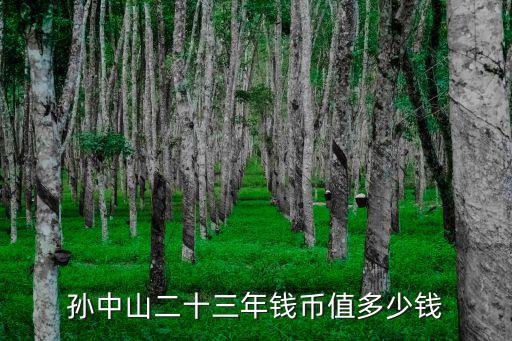 孫中山船帆銀元多少錢一枚,孫中山二十三年錢幣值多少錢