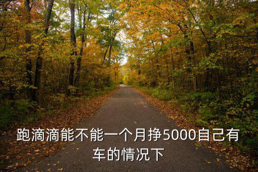 跑滴滴能不能一個月掙5000自己有車的情況下