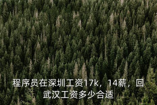 程序員在深圳工資17k，14薪，回武漢工資多少合適