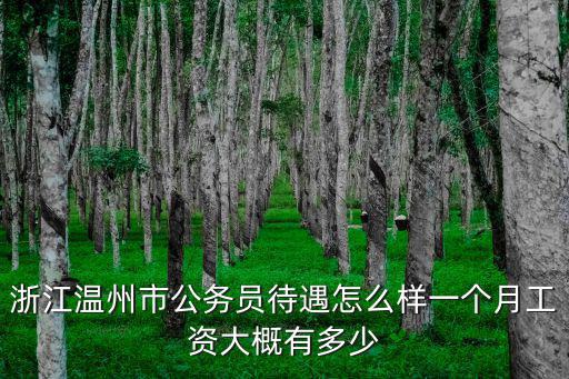 浙江鄉鎮公務員一個月車補是多少,浙江溫州市公務員待遇怎么樣