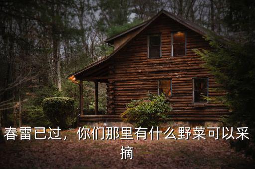 春雷已過，你們那里有什么野菜可以采摘