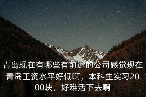 青島有多少假發公司,請問青島哪些地方工廠多