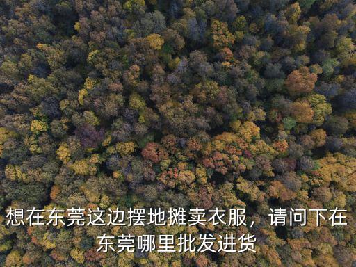 東莞南城哪里有地攤招租,東莞哪里有菜地出租