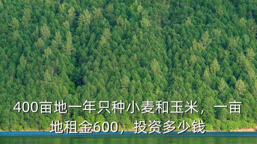 400畝地一年只種小麥和玉米，一畝地租金600，投資多少錢