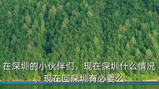 深圳車現在回深圳要怎么報備,現在深圳什么情況
