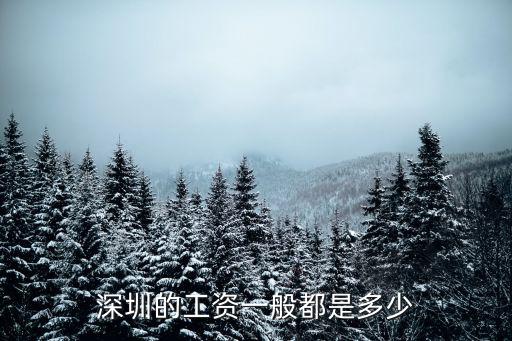 深圳的工資一般都是多少