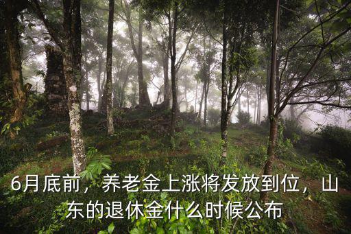 山東養老金長多少什么時間發放,山東的退休金什么時候公布