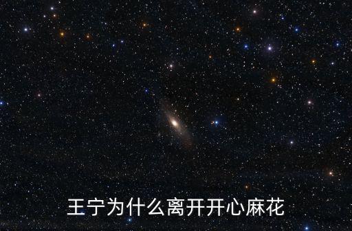深圳開心麻花一年工資多少,王寧為什么離開開心麻花