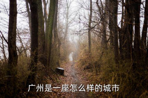 廣州是一座怎么樣的城市