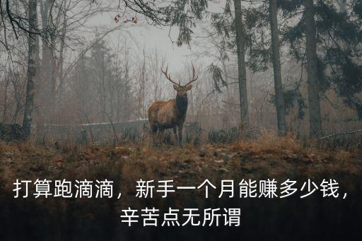 打算跑滴滴，新手一個月能賺多少錢，辛苦點無所謂