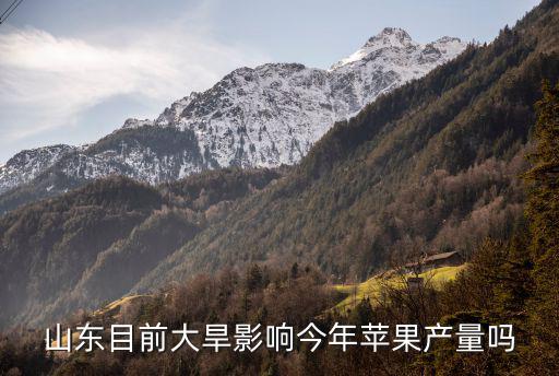 山東省蘋果產量是多少,同為蘋果生產大省