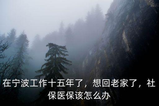 在寧波工作十五年了，想回老家了，社保醫保該怎么辦